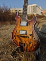 GH3 Spalted Maple Burst by Maxey Archtops10