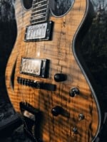GH3 Spalted Maple by Maxey Archtops03