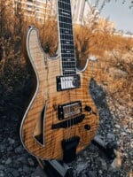 GH3 Spalted Maple by Maxey Archtops17