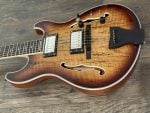 Maxey Archtops GH4 Spalted Maple Burst03