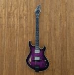Maxey Archtops GH3 Flame Maple Purple Burst19
