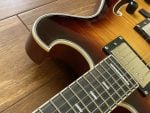 Maxey Archtops NO2 Flame Maple Burst11