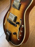 Maxey Archtops NO2 Flame Maple Burst22