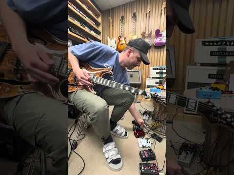 Maxey Archtop GH1 Keeley effects - 2 Eccos - Halo - Hydra - Rotary